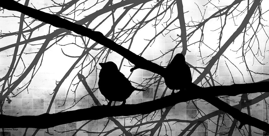 Birds in Shadow - Black and White Version Photograph by Shawna Rowe