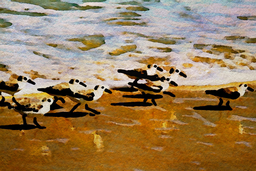 Birds In The Surf Photograph by Alice Gipson