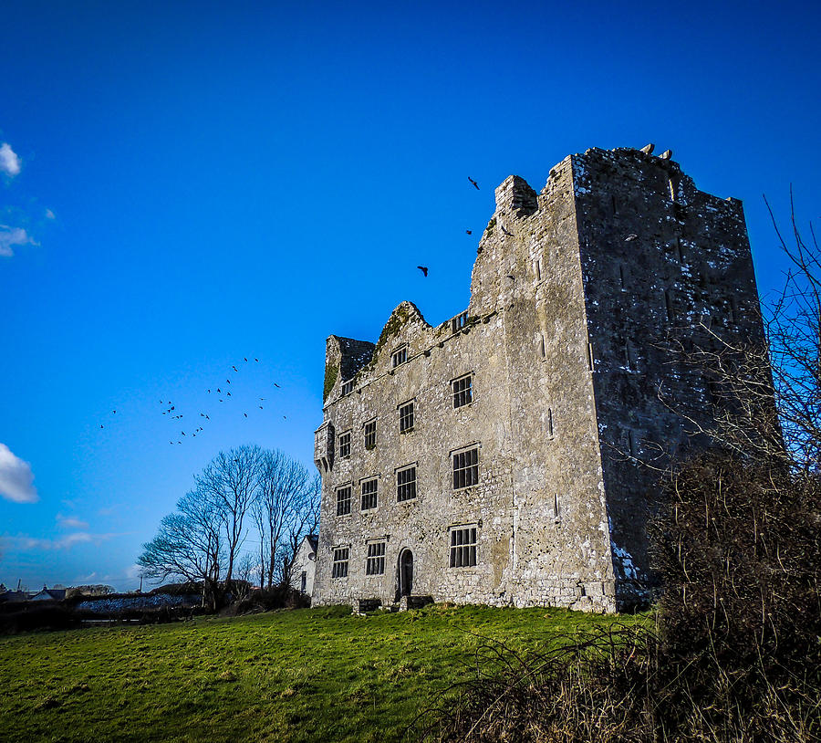 Birds of Irelands Leamaneh Castle Photograph by James Truett