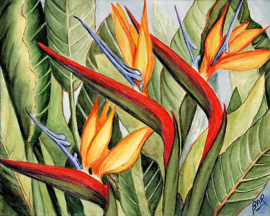 Birds Of Paradise Painting by Barbara Ann Robertson