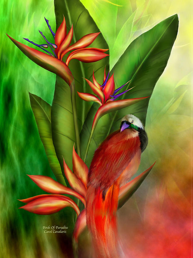 Birds Of Paradise Mixed Media by Carol Cavalaris