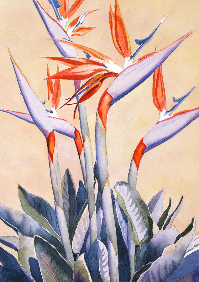 Flowers Painting - Birds of Paradise by Mary Helmreich