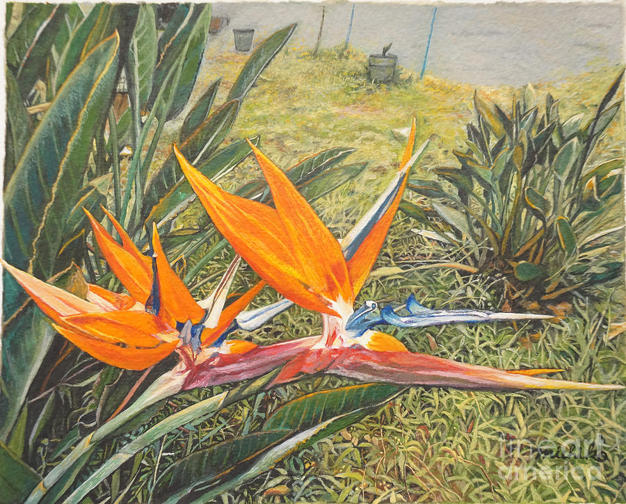 Birds of Paradise Painting by Michiko Kohagura | Fine Art America