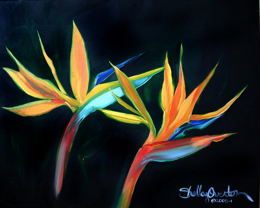 Birds of Paradise Painting by Shelley Overton
