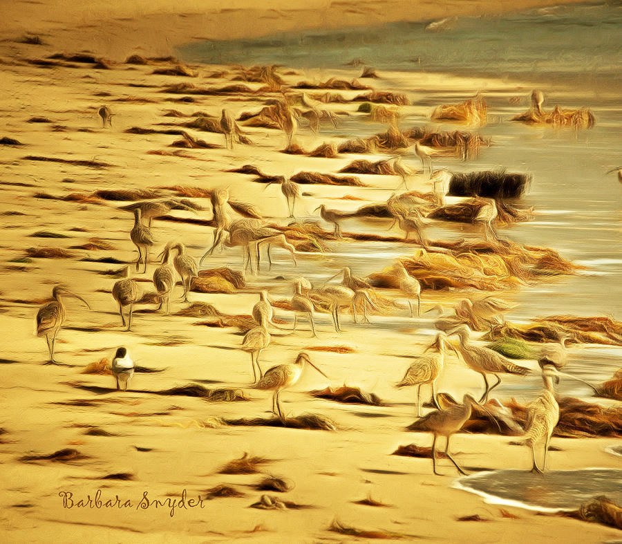Birds of Santa Barbara Painting by Barbara Snyder