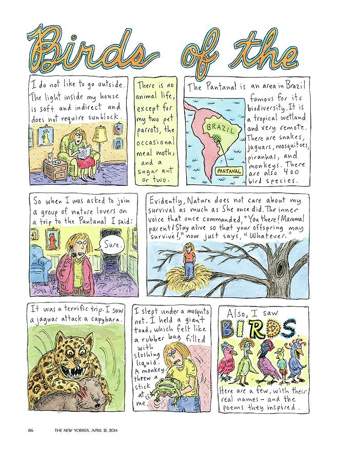 Birds Of The Pantanal Drawing by Roz Chast
