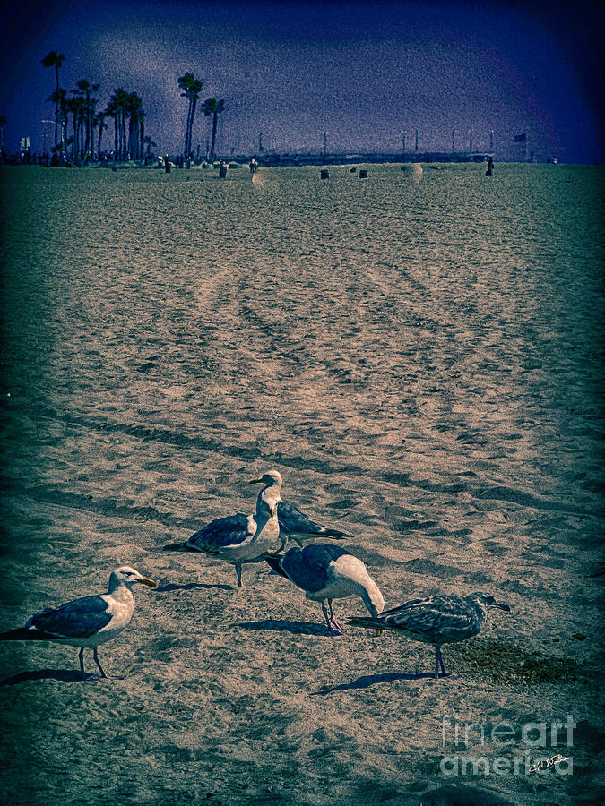 Venice Beach Digital Art - Birds of Venice Beach by Charles Davis
