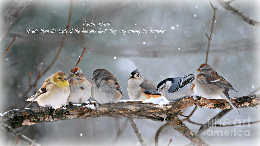 Birds on a Branch Photograph by Lila Fisher-Wenzel