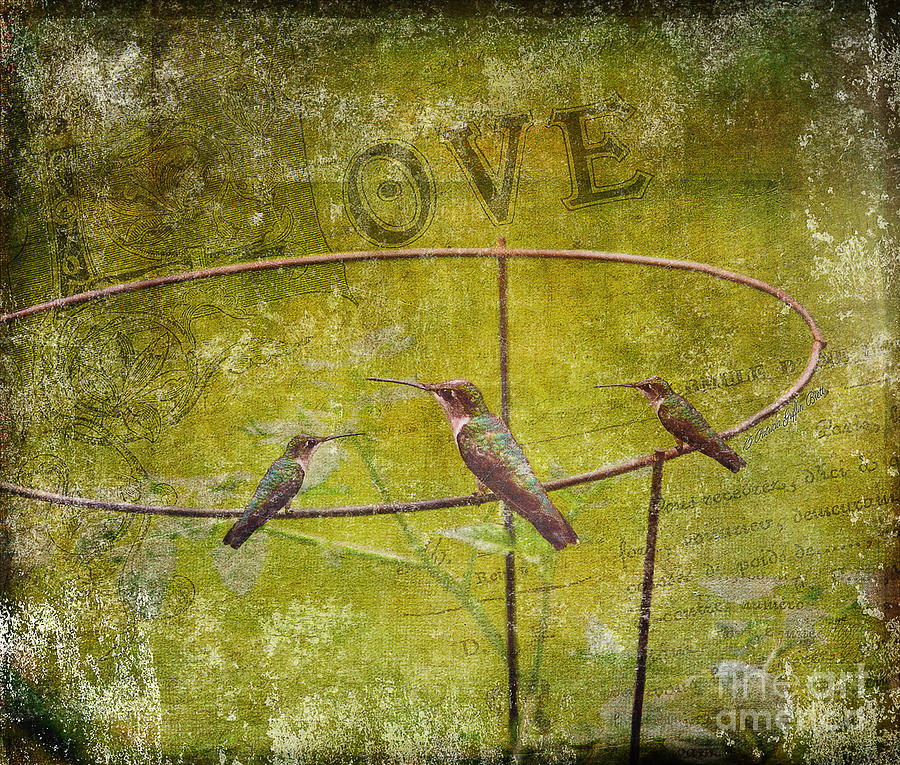 Birds on a Wire Photograph by Patricia Griffin Brett