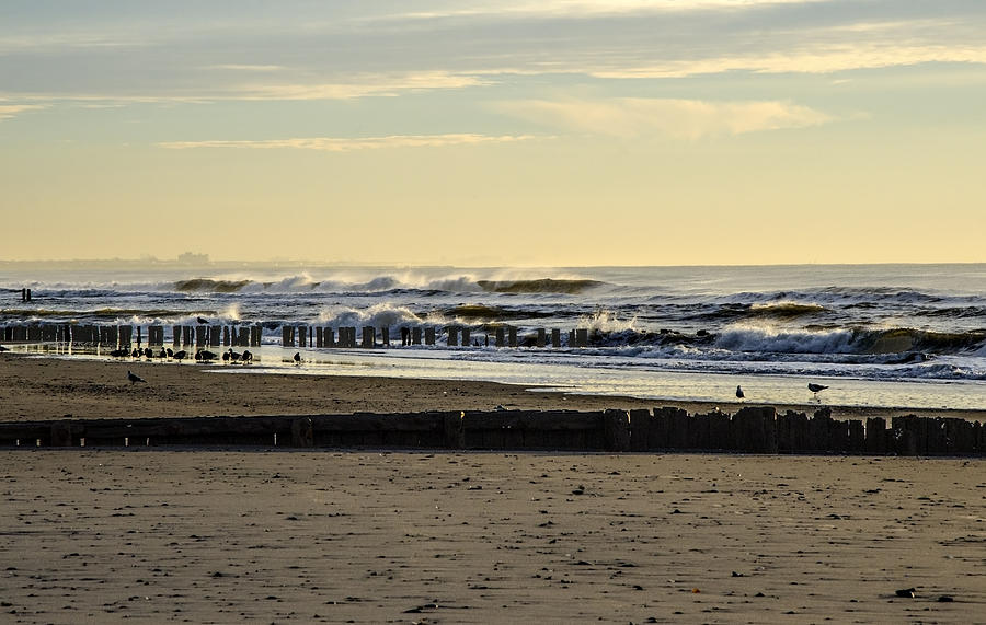 Birds on Beach Morning Ocean Waves Photograph by Maureen E Ritter