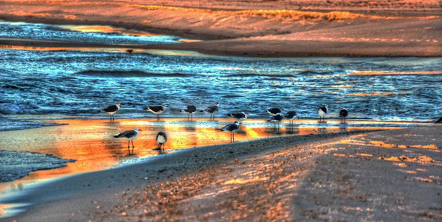 Birds on the Beach Digital Art by Michael Thomas