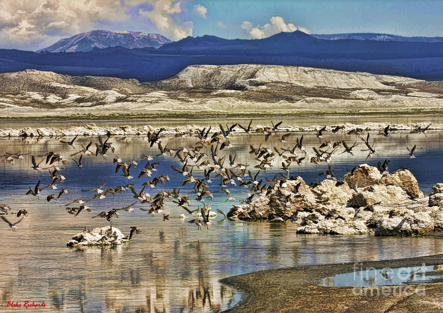 Birds Over Mono Lake Photograph by Blake Richards