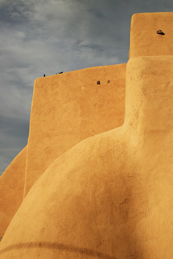 Birds Perched On A Yellow Building Photograph by Win-initiative Birds Perched On A Yellow Building Photograph by Win-initiative