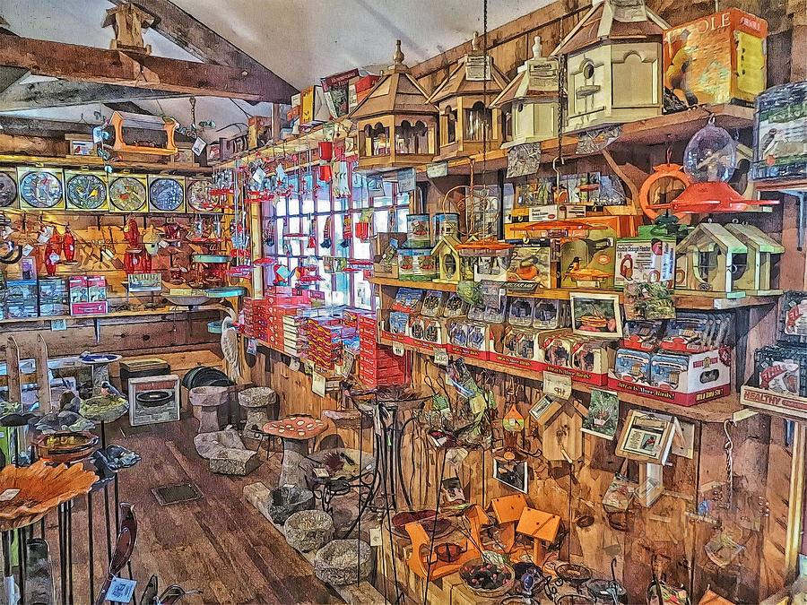 Birdwatchers General Store Photograph by Constantine Gregory