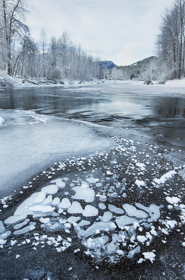 Birkenhead River In Winter British by Alan Majchrowicz