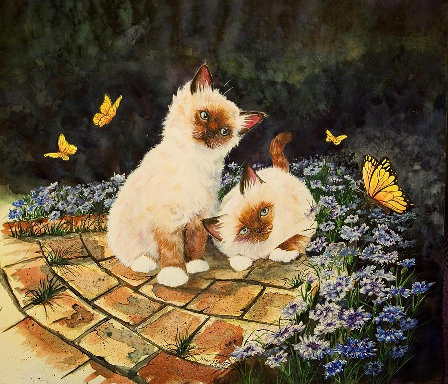 Flower Painting - Birmans and Butterflies by Sherry Shipley