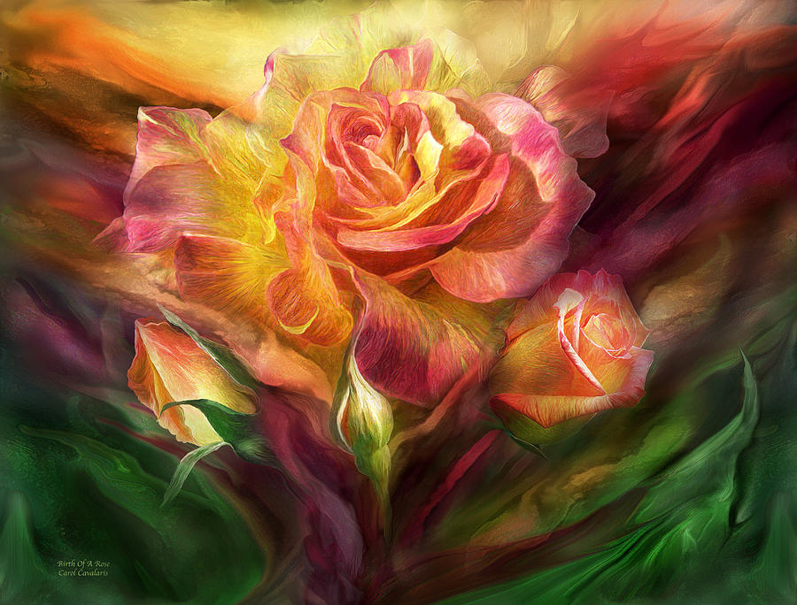 Birth Of A Rose Mixed Media by Carol Cavalaris