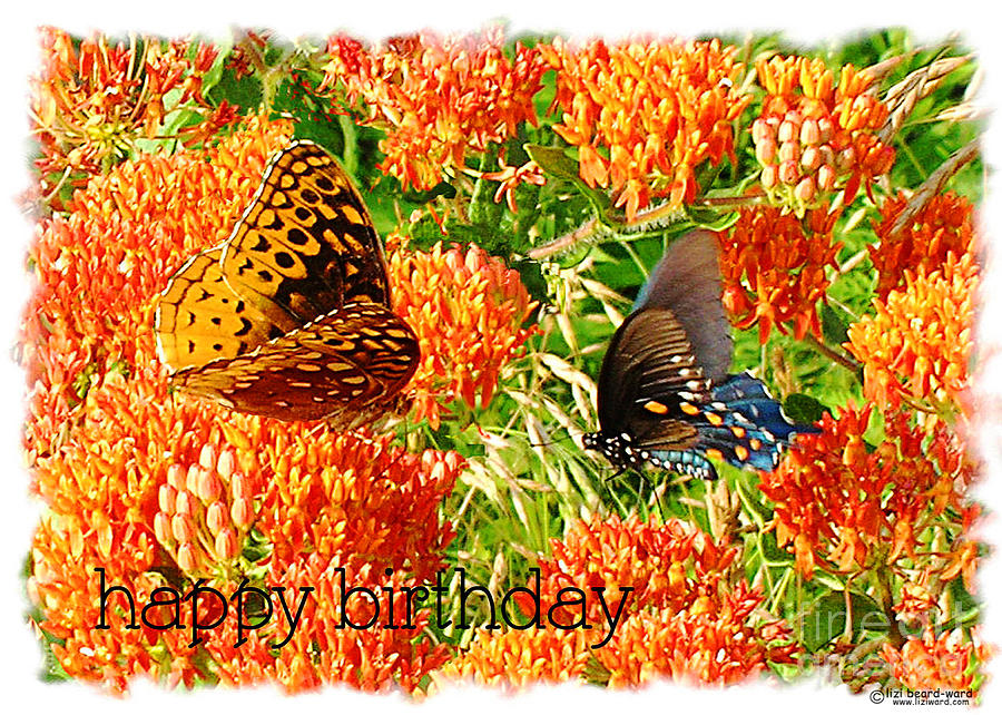 Birthday Butterflies Digital Art by Lizi Beard-Ward