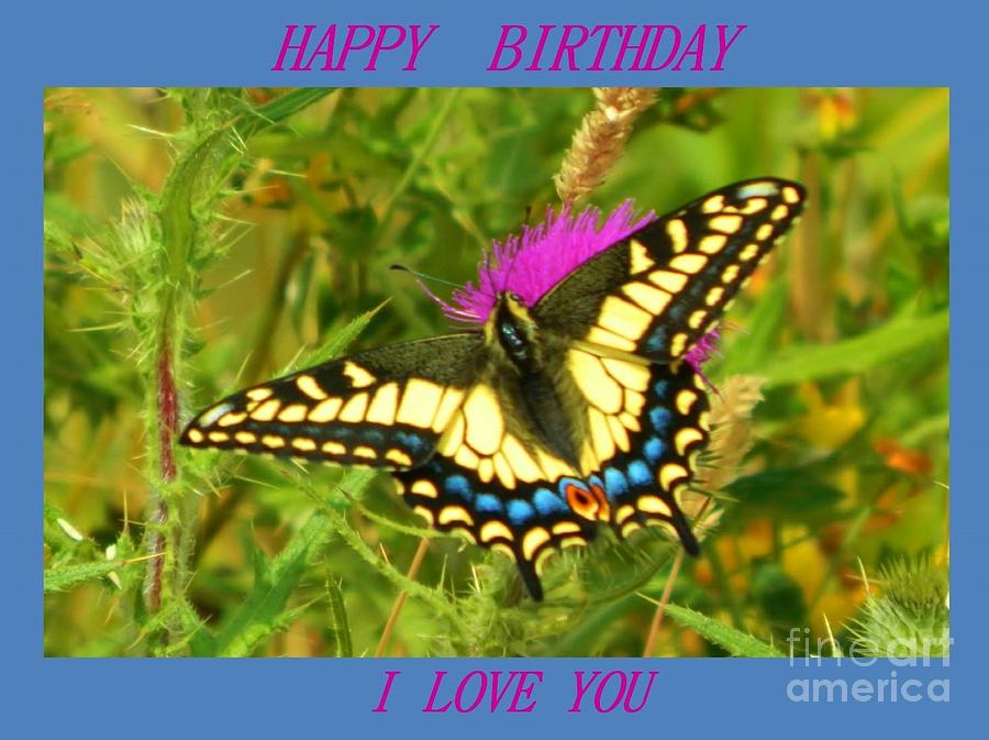 Birthday Butterfly Photograph by Gallery Of Hope 