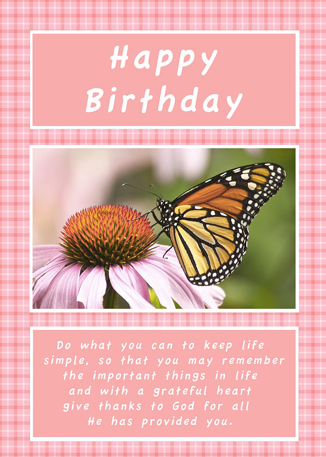 Birthday Card Monarch and Cone Flower Photograph by Michael Peychich