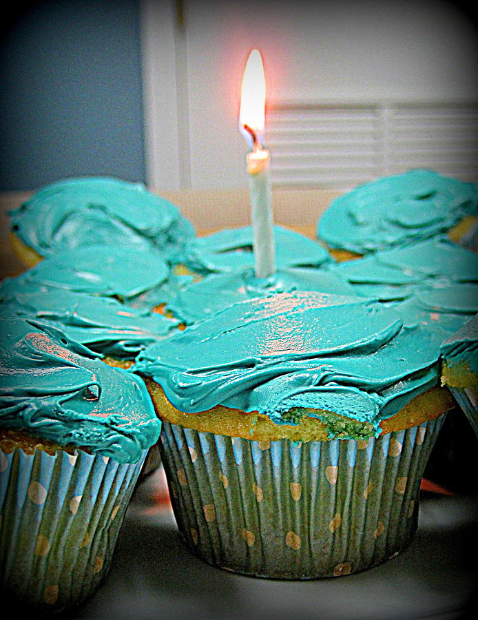 Birthday Cupcakes Photograph by Suzanne DeGeorge