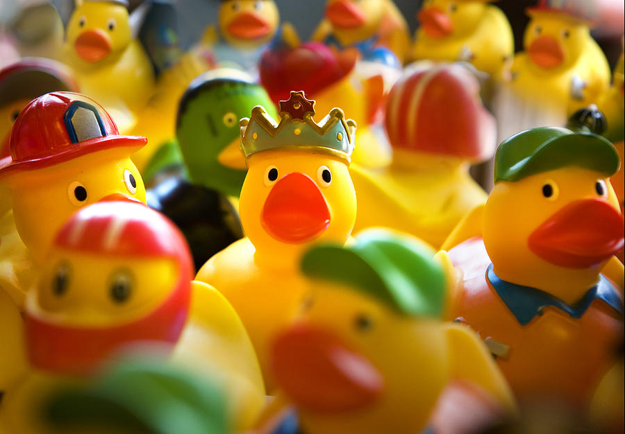 Rubber Duckies Photograph by Marilyn Hunt