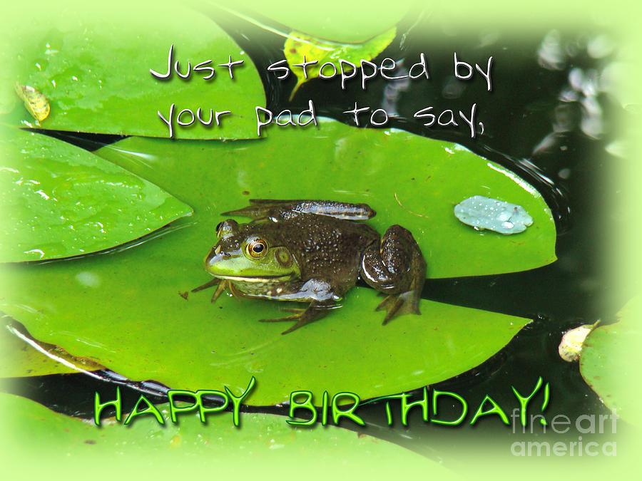 Birthday Greeting Card - Bullfrog on Lily Pad Photograph by Carol Senske