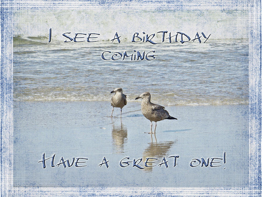 Bird Photograph - Birthday Greeting Card - Seagulls on Beach by Carol Senske