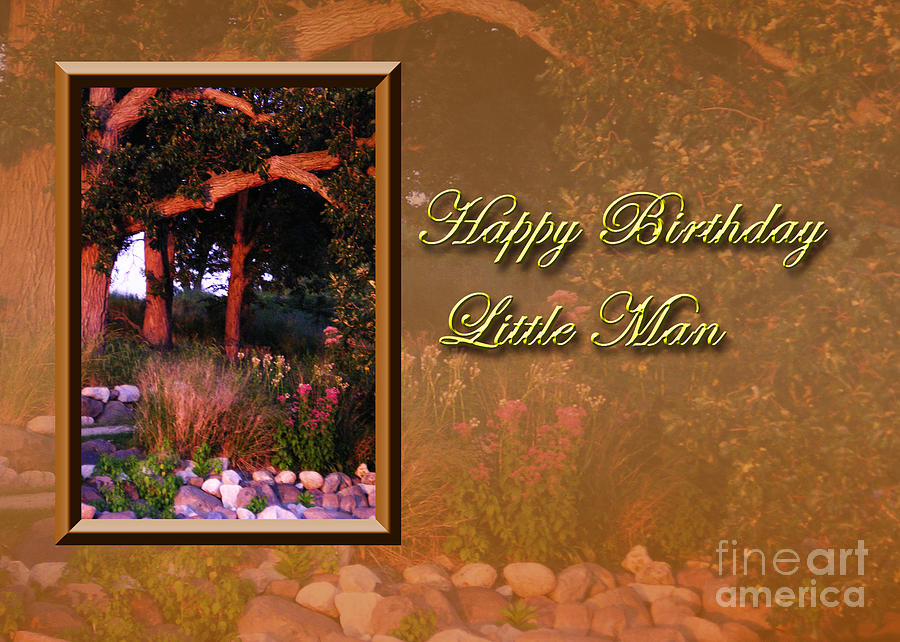 Sunset Photograph - Birthday Little Man Woods by Jeanette K