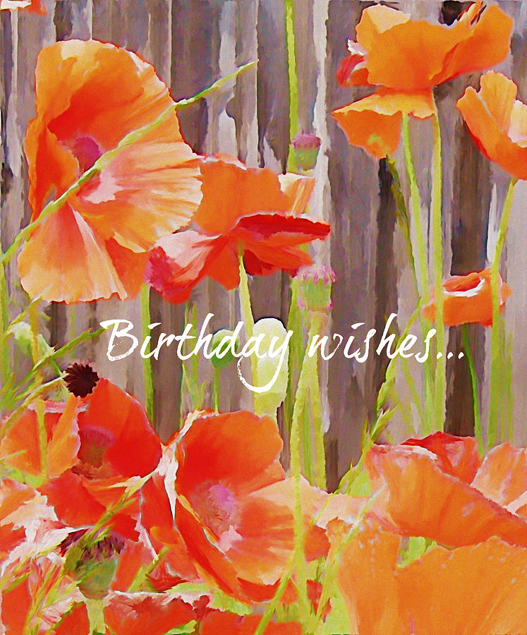 Birthday Poppies Photograph by Dark Whimsy