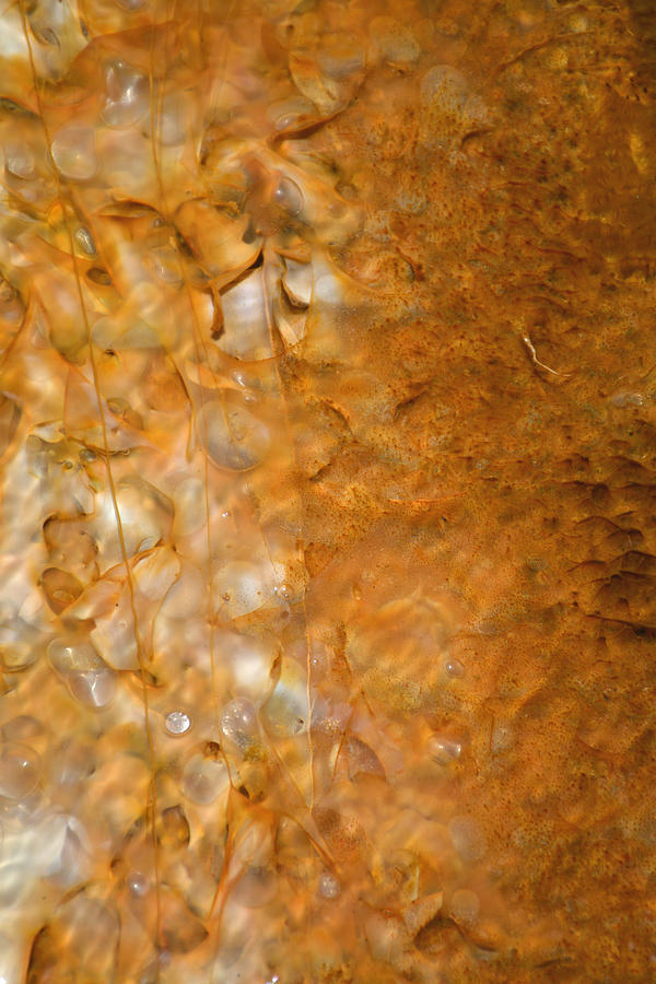 Biscuit Basin Bacterial Mat Photograph by Bruce Gourley