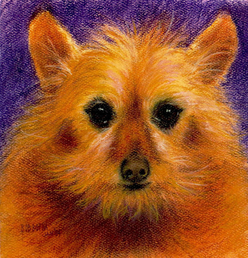Biscuit Drawing by Bob Botha Fine Art America