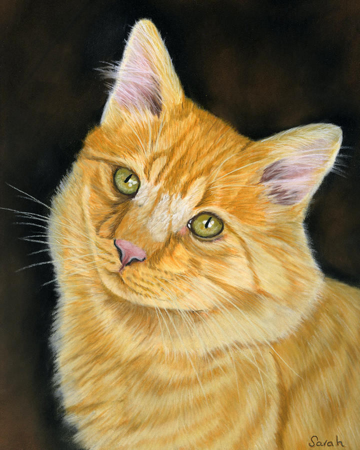 Cat Painting - Biscuit by Sarah Dowson