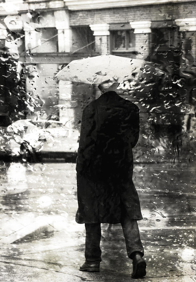 Vintage Photograph - Biscuits In Rain  by J C