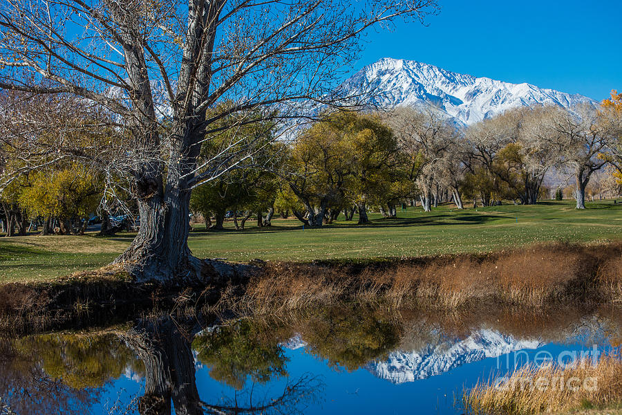 Bishop Country Club Reflection of Sierra Nevada Photograph by Gary Whitton