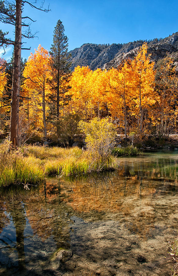 Fall Photograph - Bishop Creek - Fall by Cat Connor