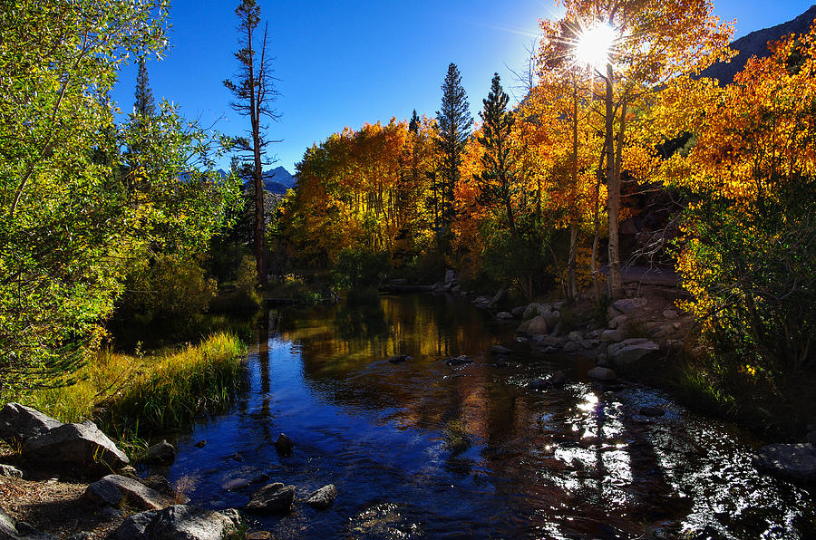 Bishop Creek Fall Color Sunset Photograph by Scott McGuire