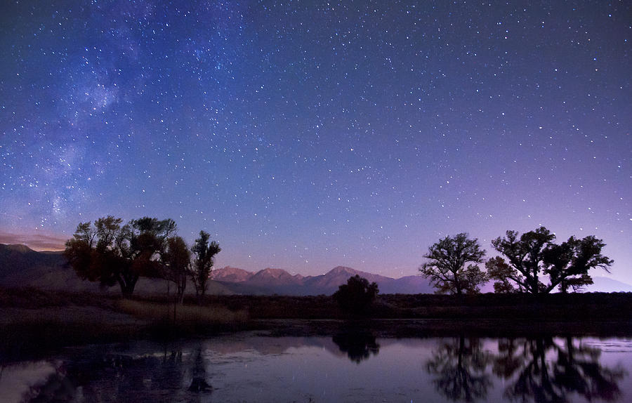 Tree Photograph - Bishop Moonrise by Cat Connor