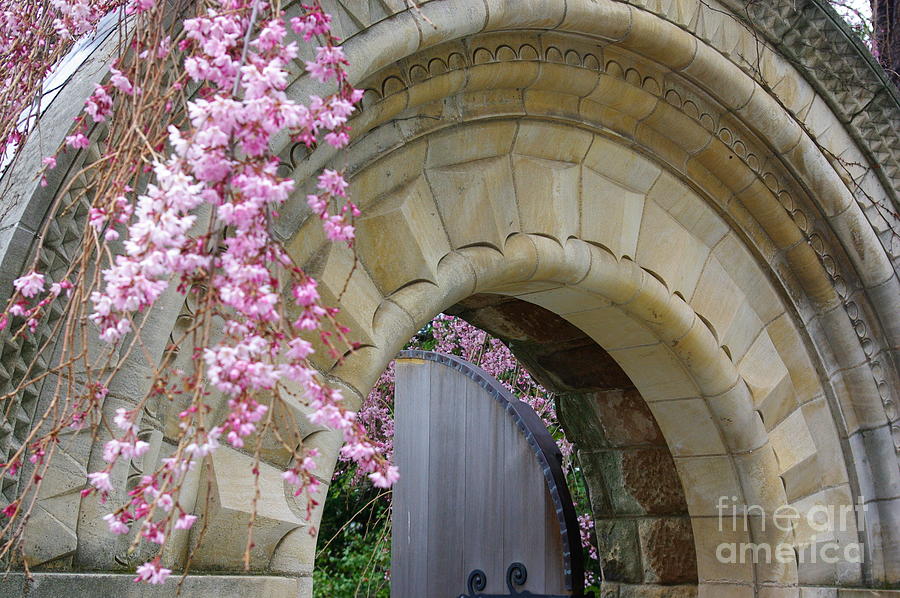 Flower Photograph - Bishops Gate by John S