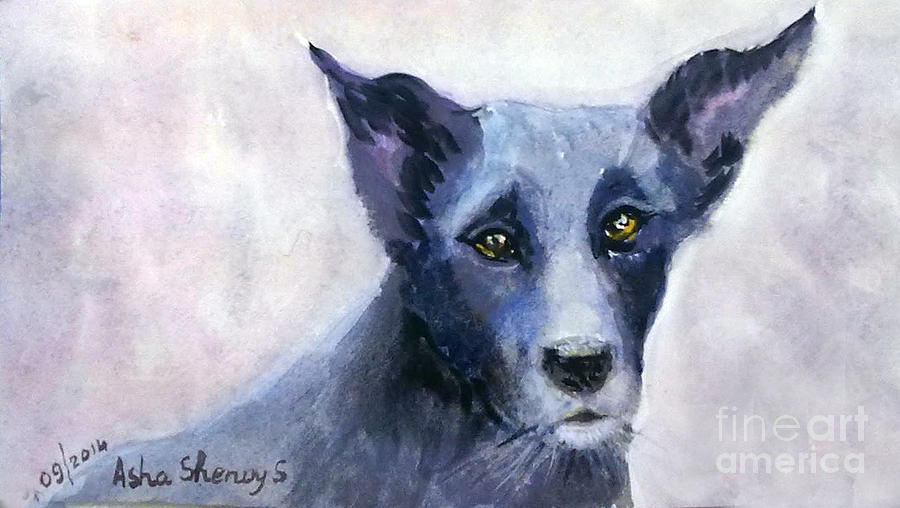 Biskeet the stray dog Painting by Asha Sudhaker Shenoy
