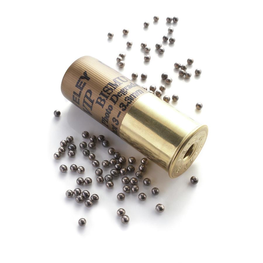 Bismuth Shotgun Pellets And Cartridge Photograph By Science Photo 