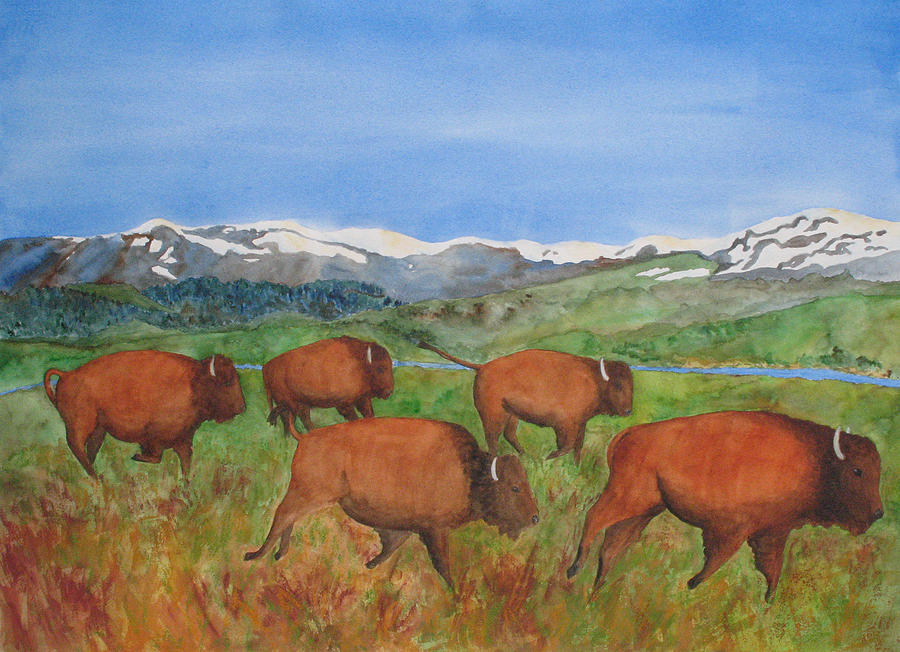 Bison At Yellowstone Painting by Patricia Beebe