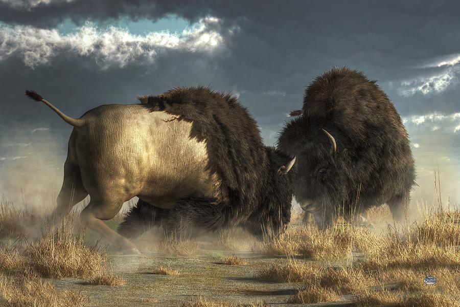 Bison Fight Digital Art by Daniel Eskridge