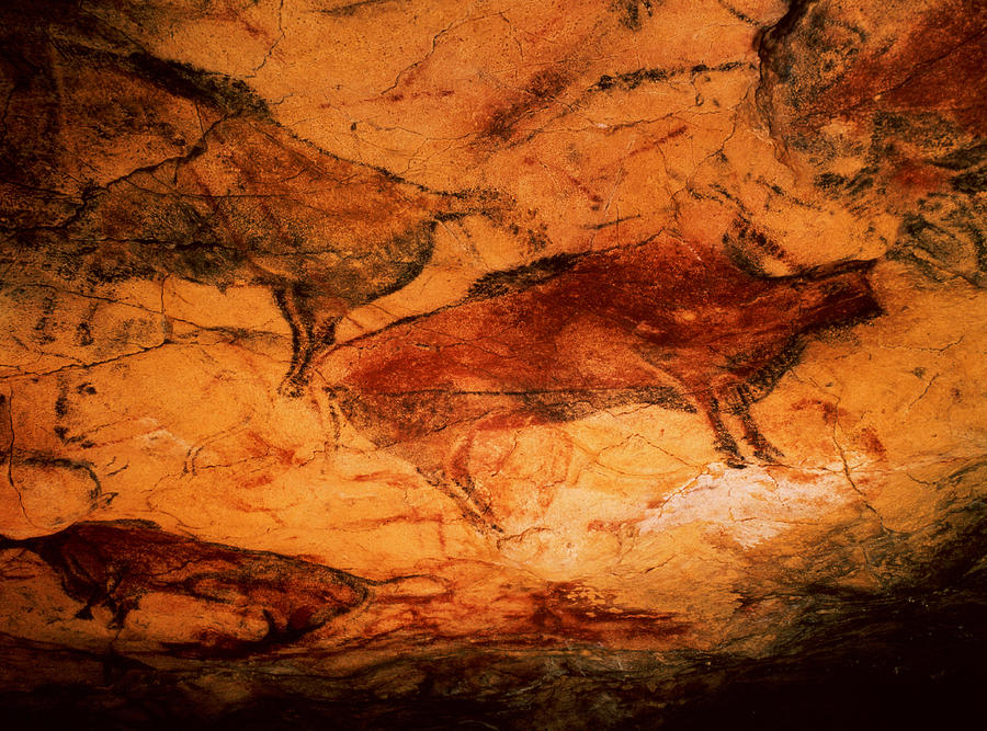 Prehistoric Photograph - Bison From The Caves At Altimira, C.15000 Bc Cave Painting by Prehistoric