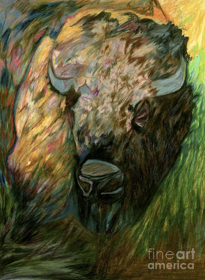 Bison Drawing by Jon Kittleson