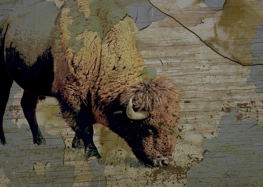 Bison Vintage Style -photo- art Photograph by Ann Powell