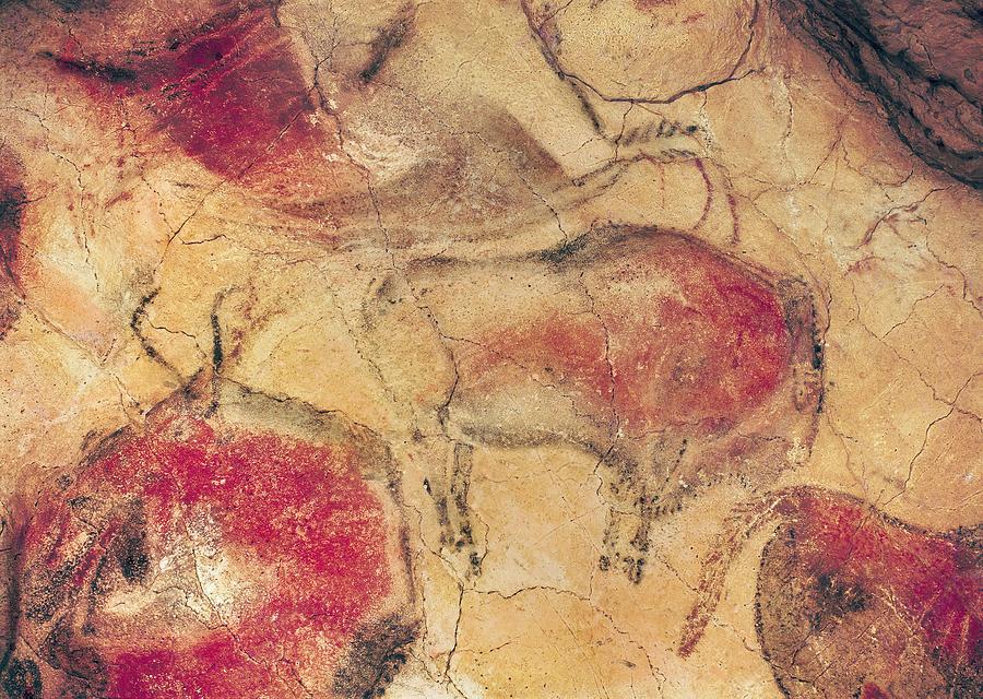 Paleolithic Photograph - Bisons, From The Caves At Altamira, C.15000 Bc Cave Painting by Prehistoric