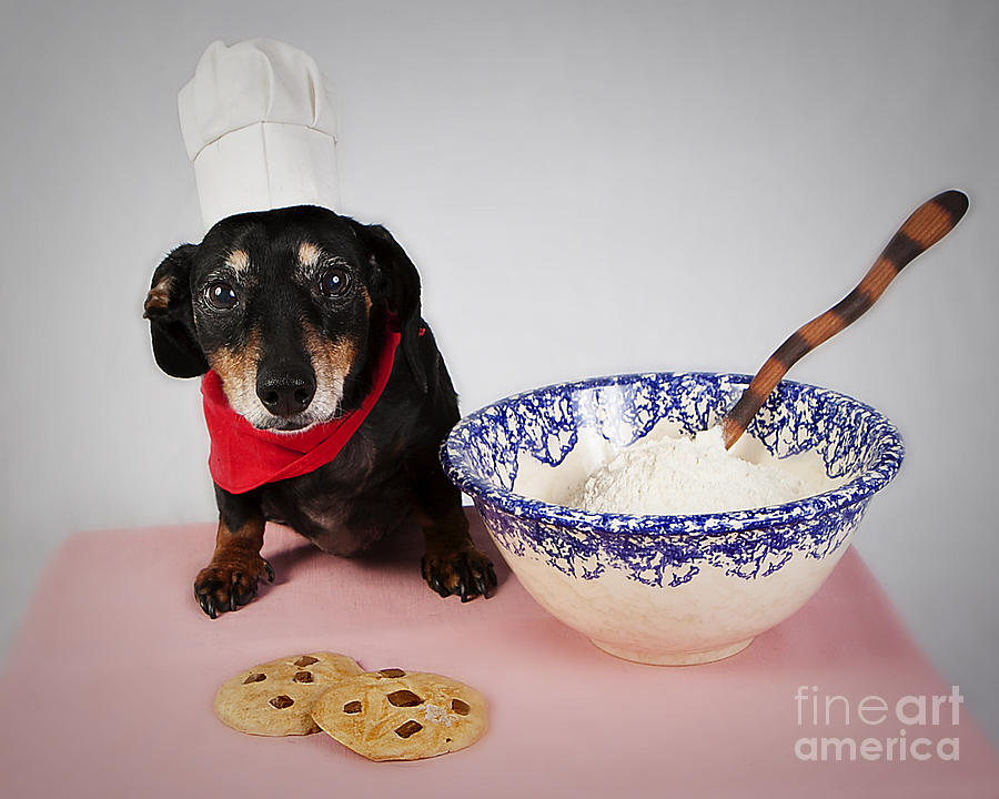 Cookie Photograph - Bistro Le Cookie by Denise Oldridge