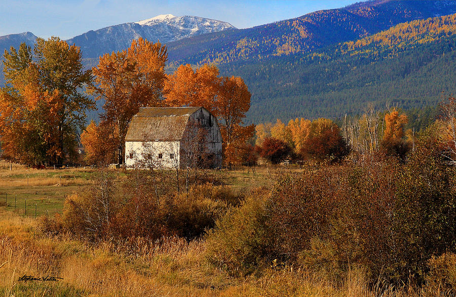 Bitterroot Valley Barn by Stephanie Salter Bitterroot Valley Barn by Stephanie Salter