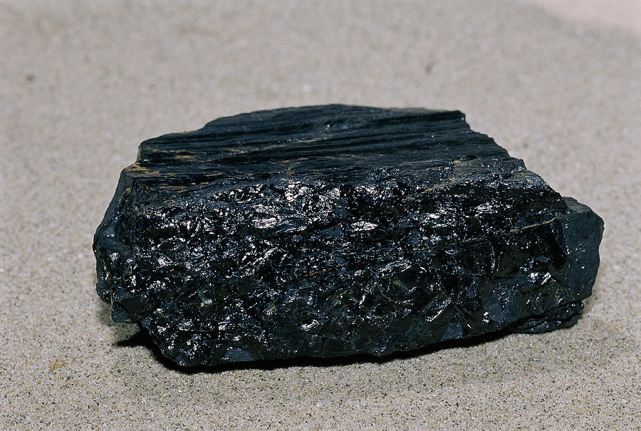 Bituminous Coal Photograph by Andrew J. Martinez